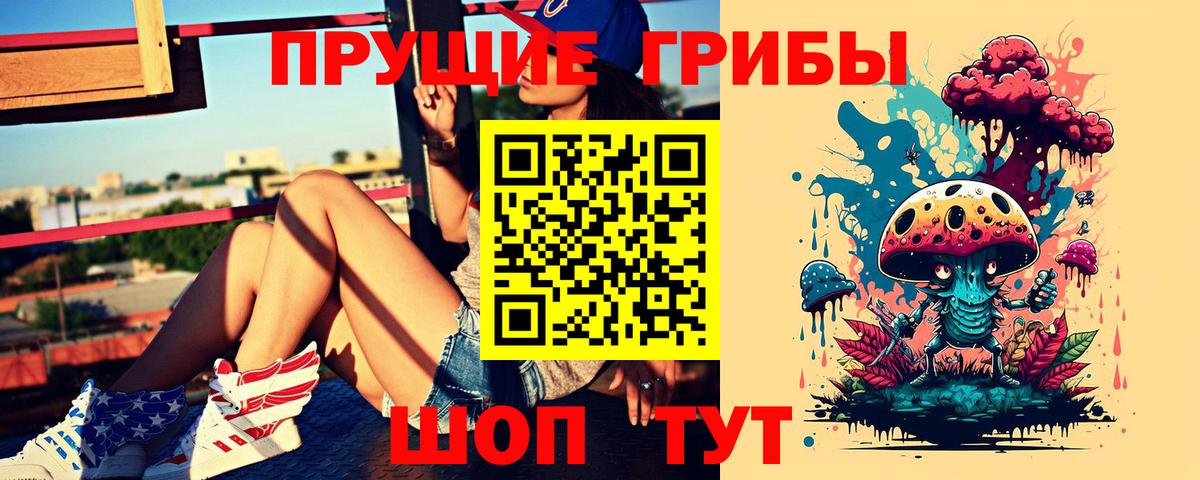 Галлюциногенные грибы прущие грибы Канаш