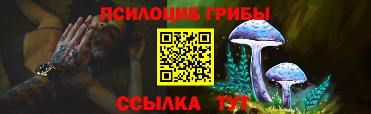 Псилоцибиновые грибы GOLDEN TEACHER  Псилоцибиновые грибы мухоморы  Канаш  дарнет шоп  Вход с VPN 